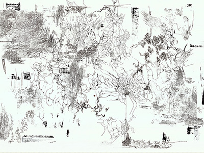 matias waizmann