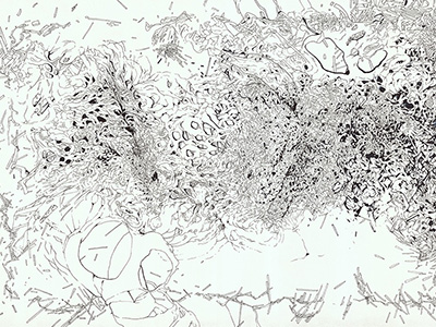 matias waizmann